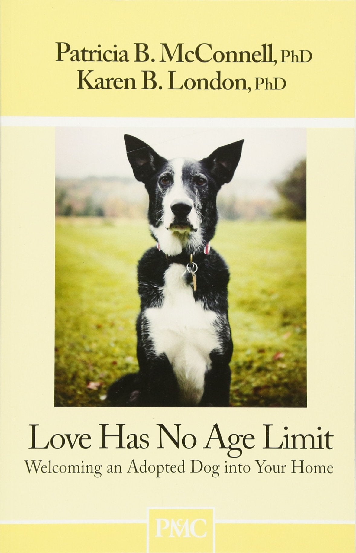 Love Has No Age Limit: Welcoming an Adopted Dog Into Your Home - 365