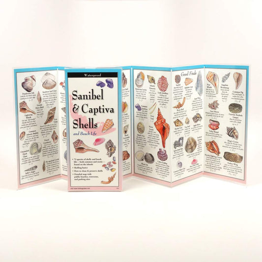 Sanibel & Captiva Shells and Beach Life (Foldingguides) - 6595
