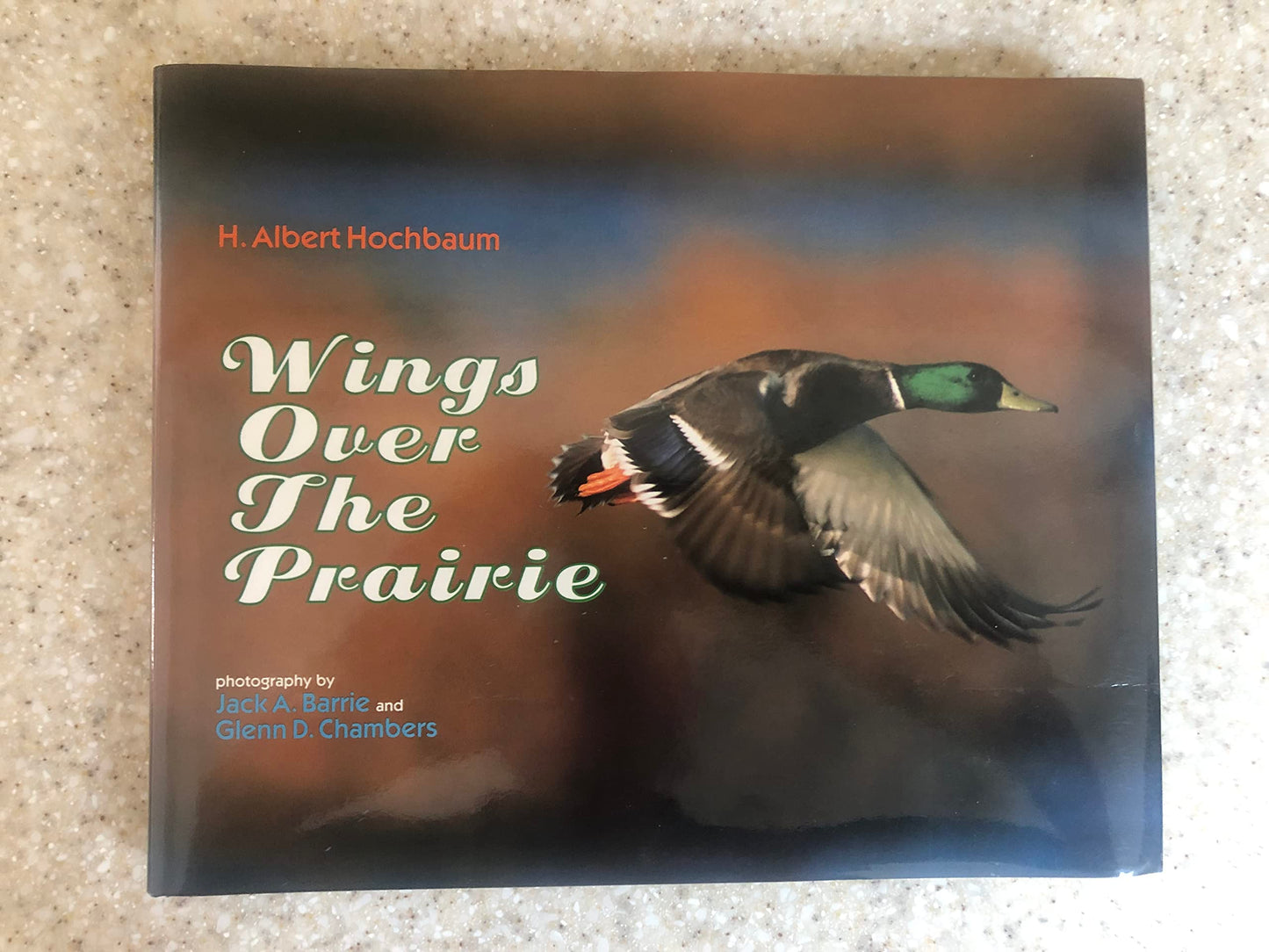 Wings Over The Prairie
