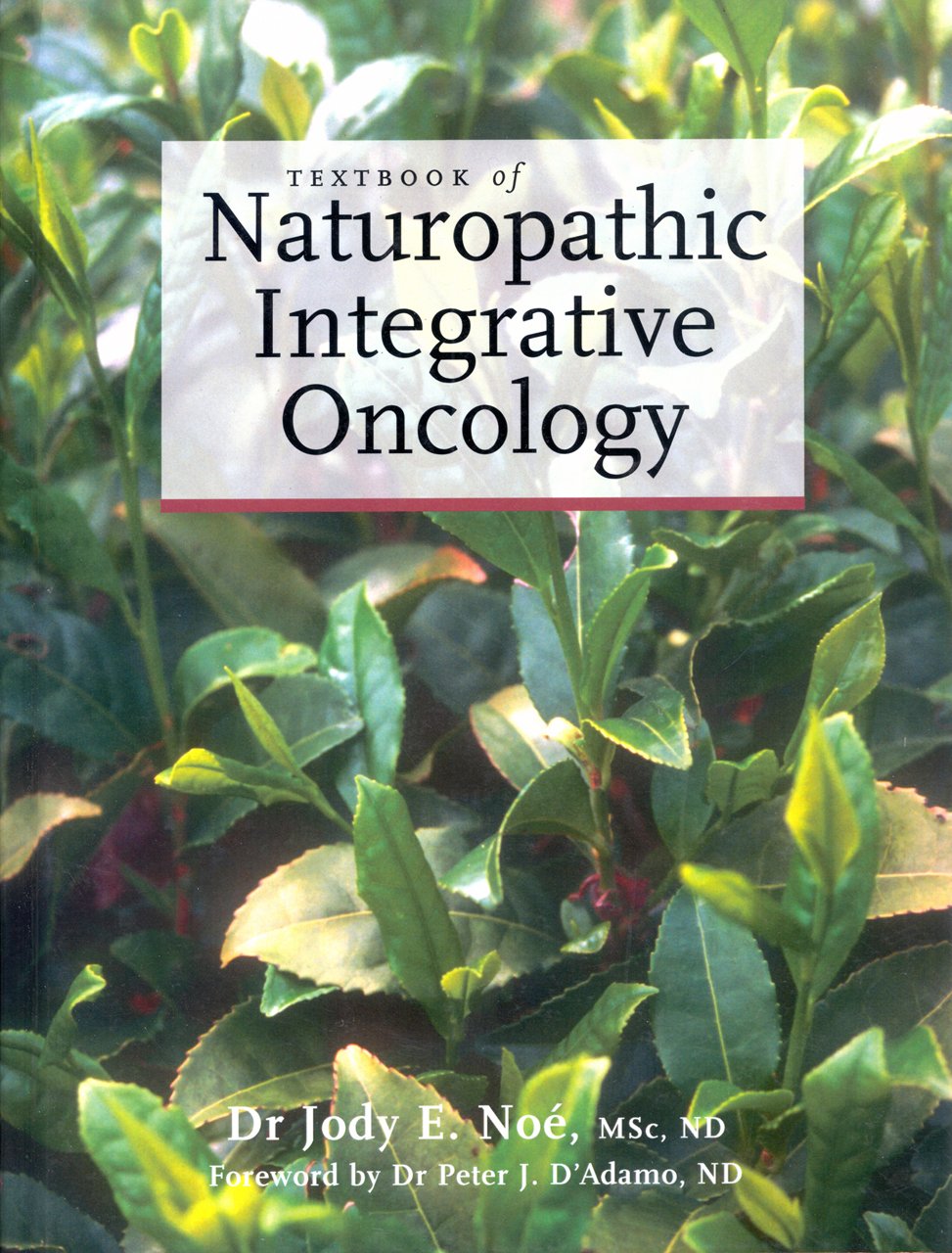 Textbook of Naturopathic Integrative Oncology (Fundamentals of Naturopathic Medicine.)