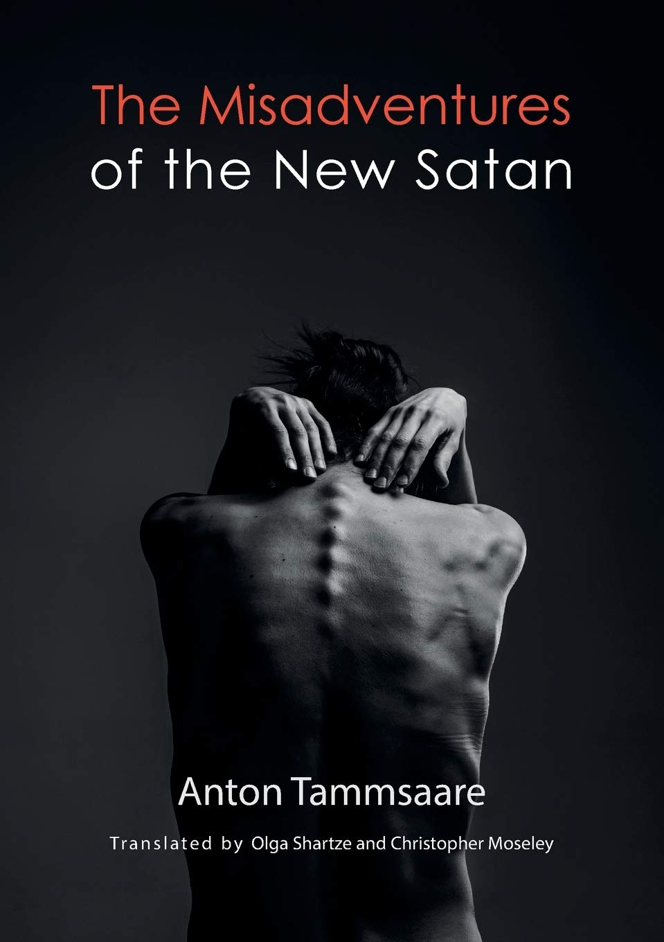 The Misadventures of the New Satan (B) - 9952