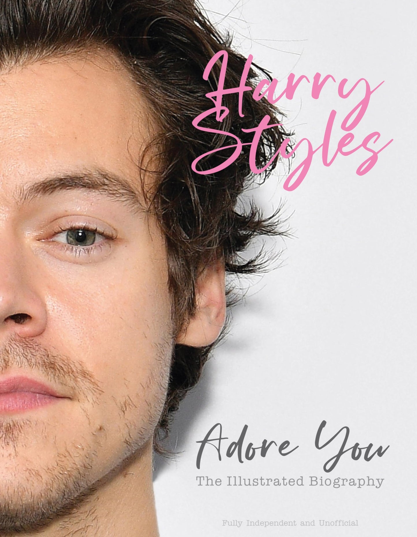 Harry Styles: Adore You: The Illustrated Biography - 4461