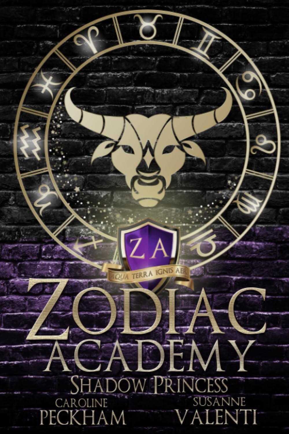 Zodiac Academy 4: Shadow Princess - 3222