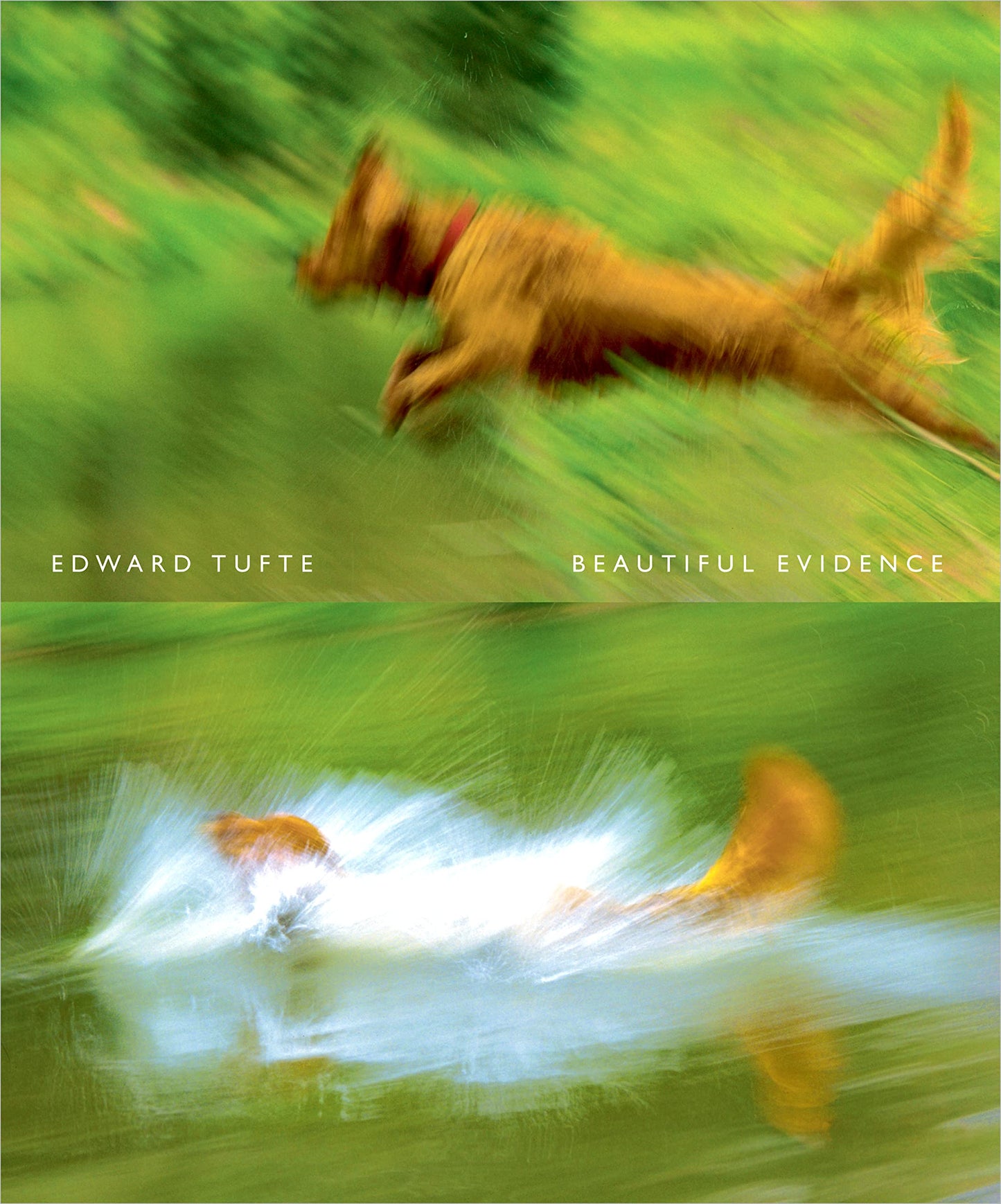 Beautiful Evidence - 3488