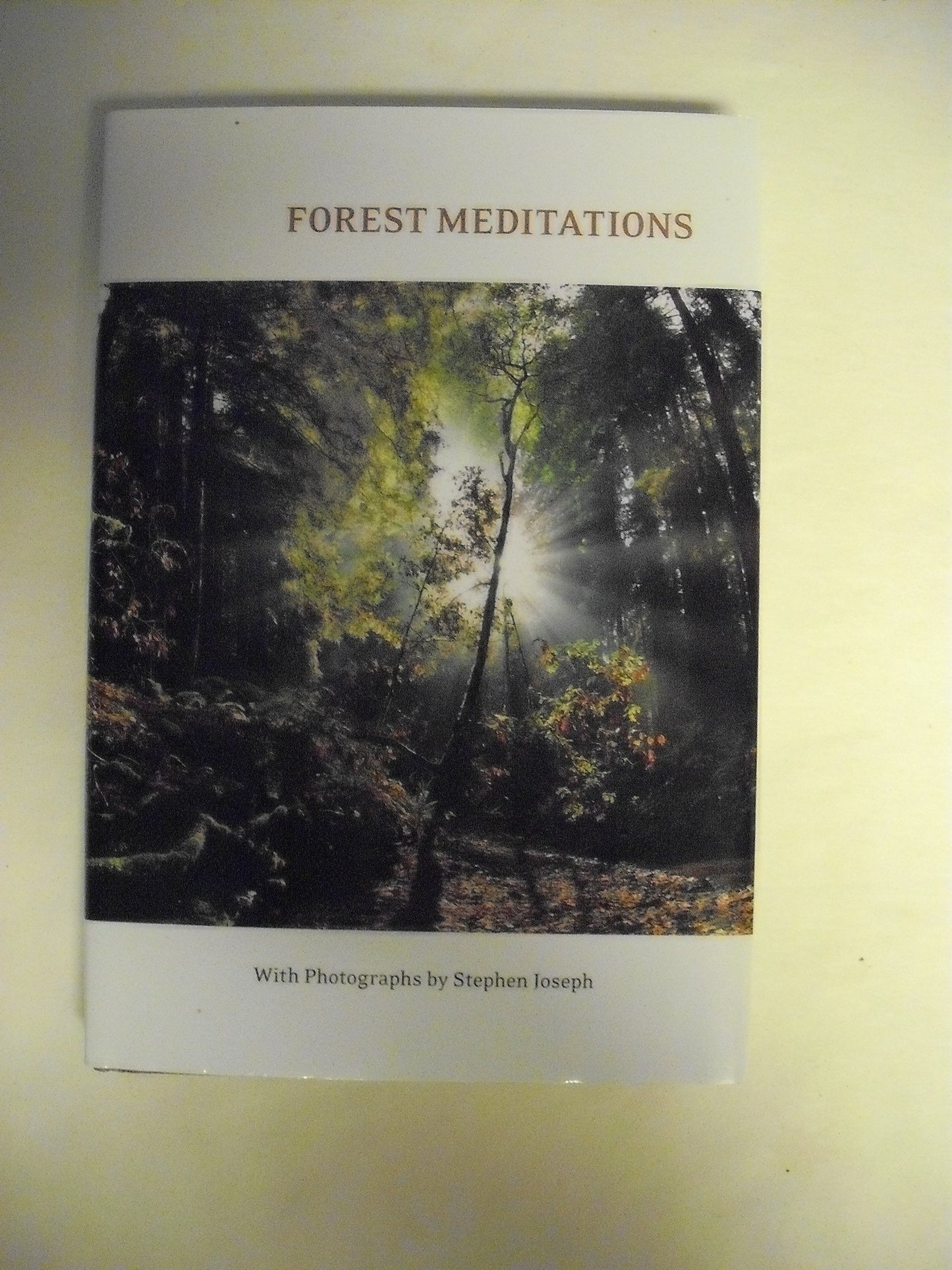 Forest Meditations