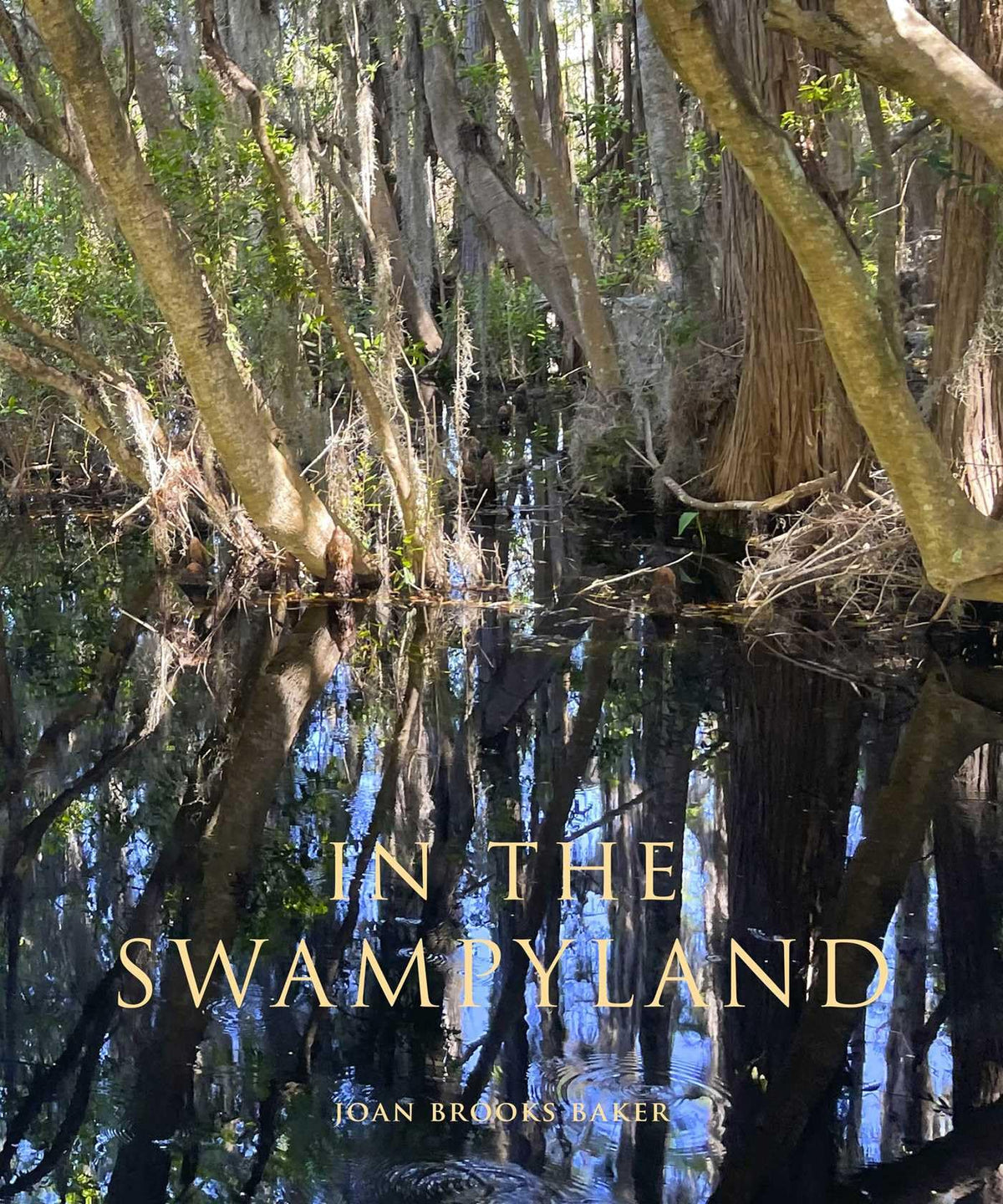 In the Swampyland