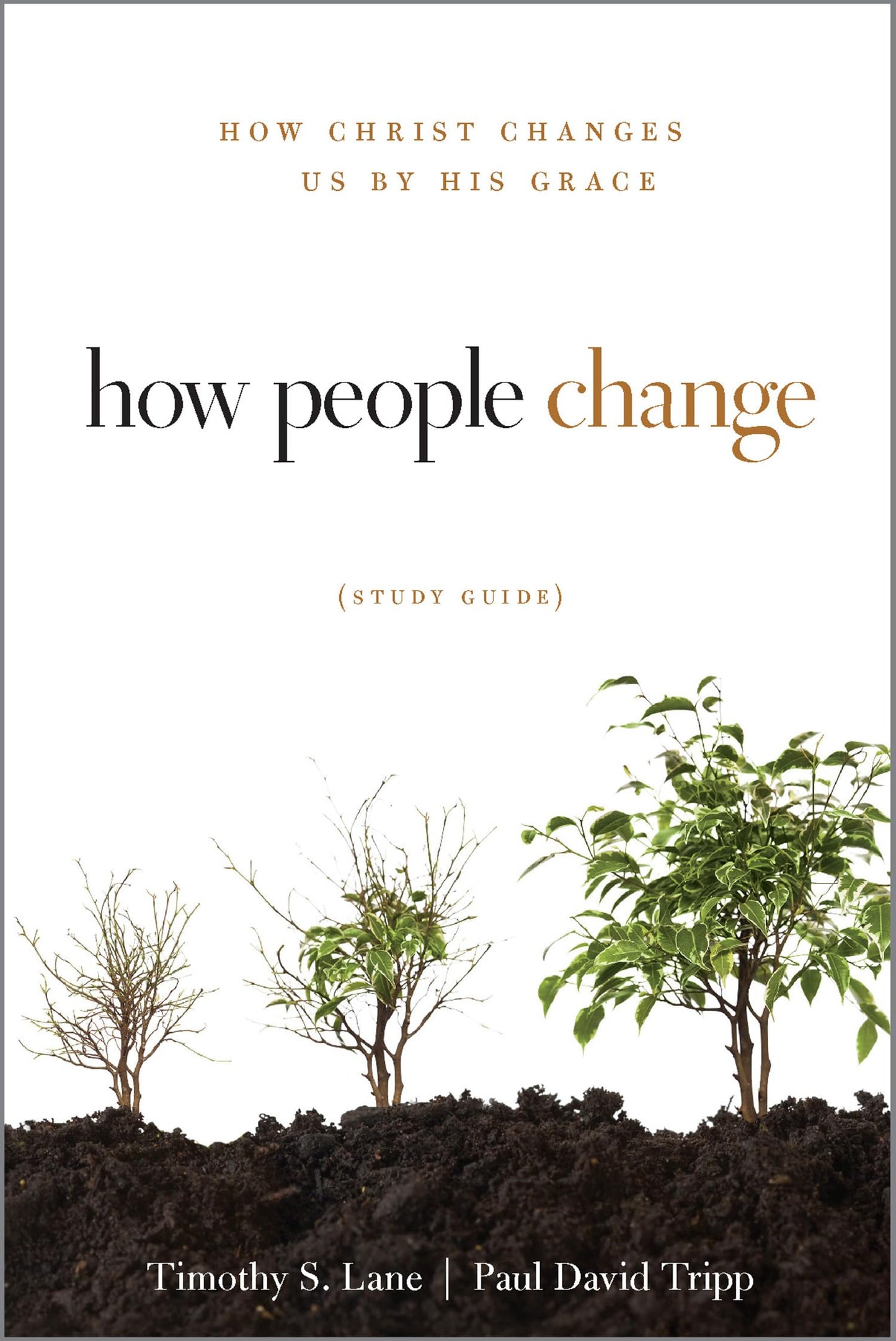 How People Change Study Guide: How Christ Changes Us by His Grace (Changing Hearts, Changing Lives)