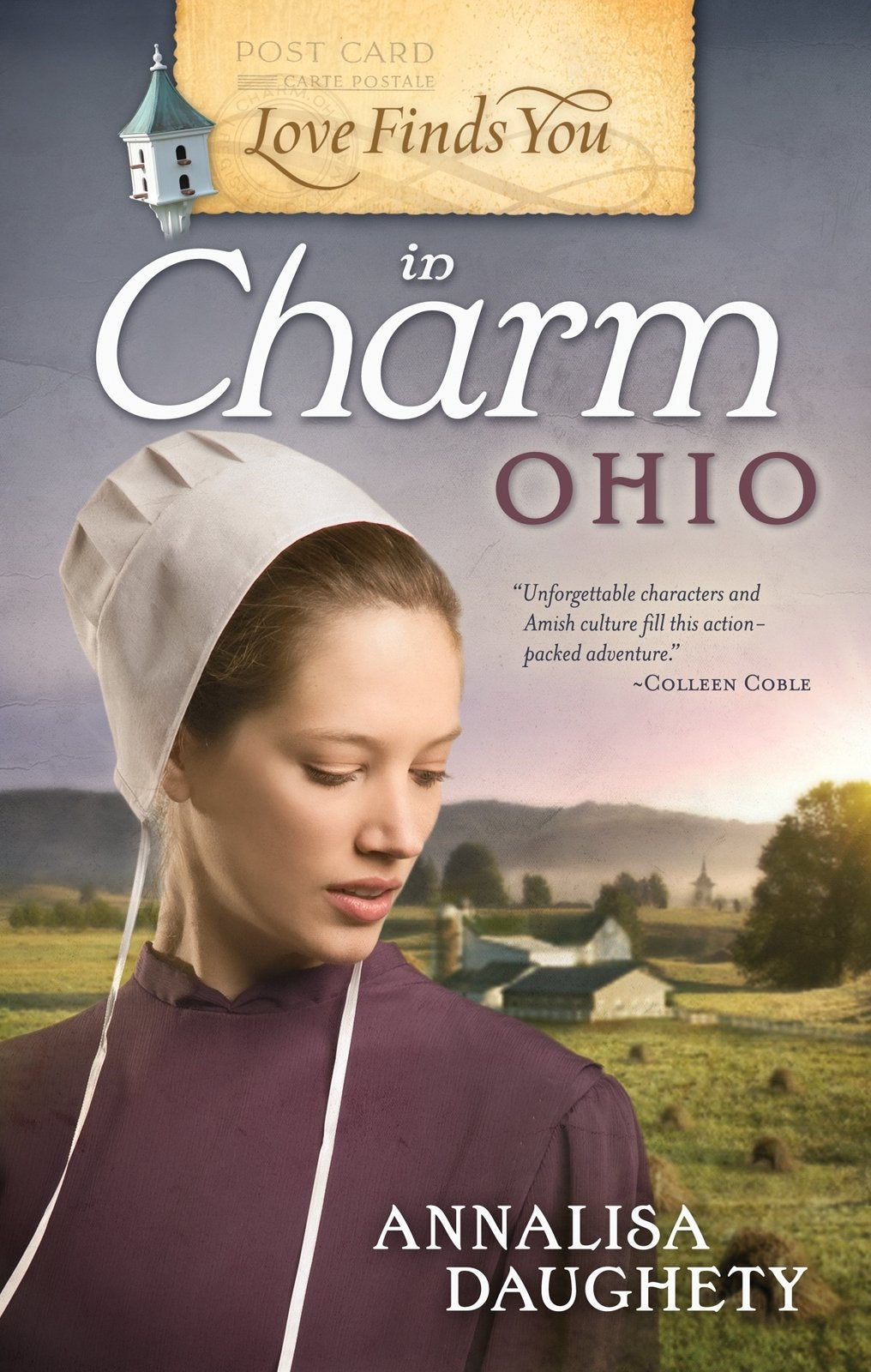 Love Finds You in Charm, Ohio