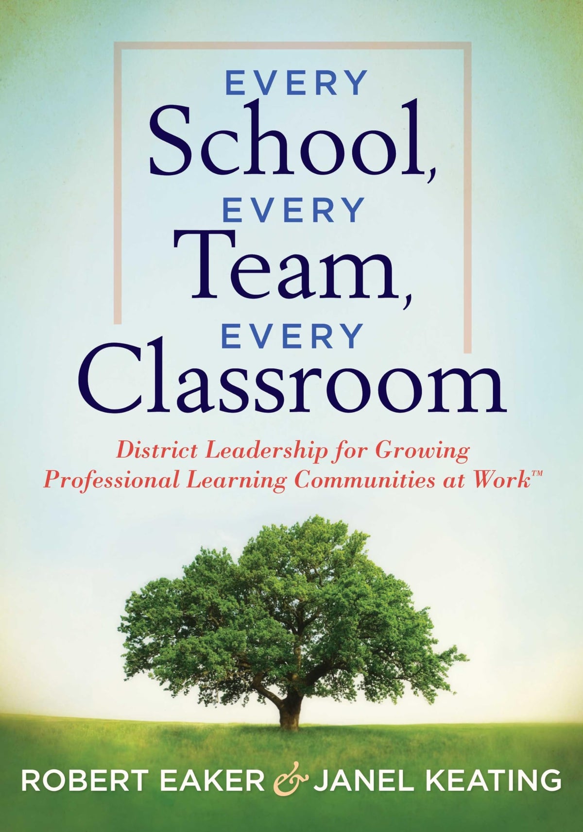 Every School, Every Team, Every Classroom: District Leadership for Growing Professional Learning Communities at WorkTM