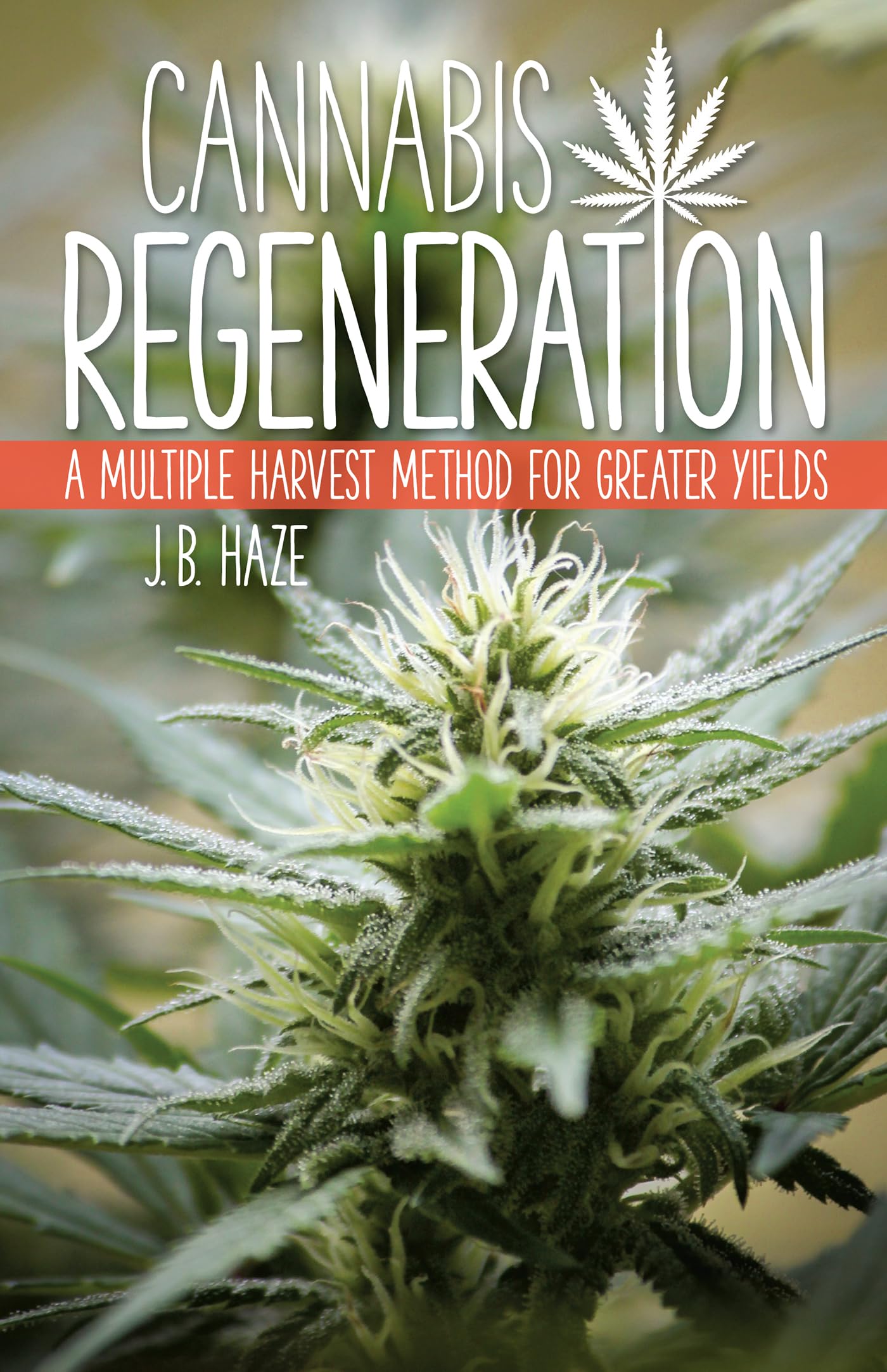 Cannabis Regeneration: A Multiple Harvest Method for Greater Yields - 350