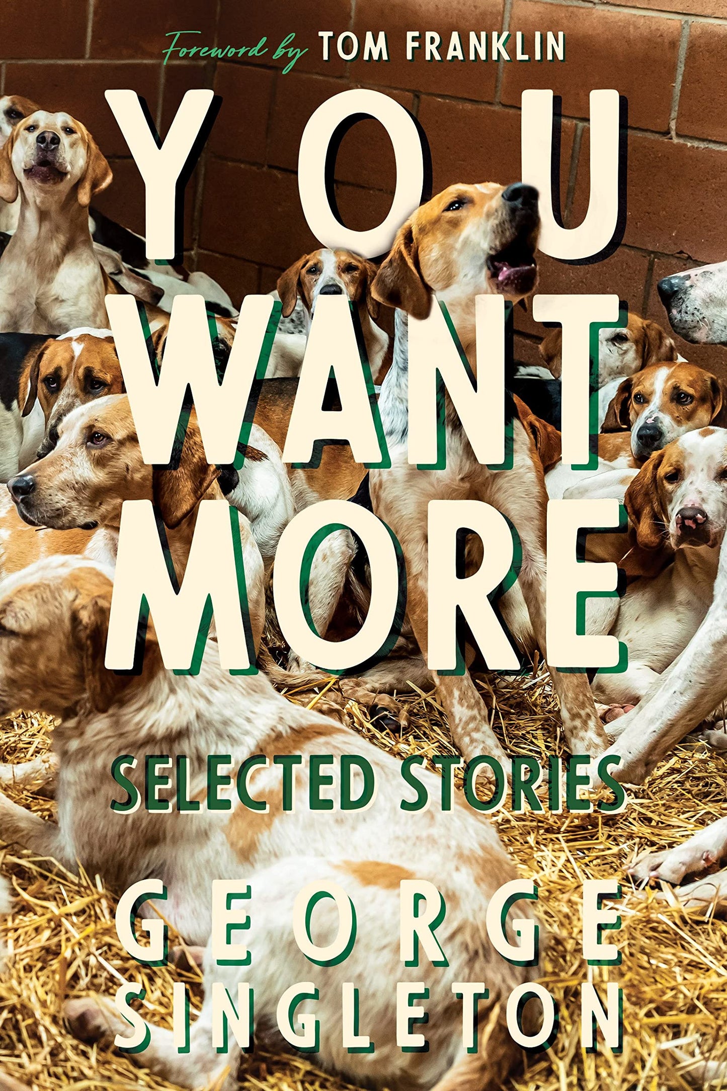 You Want More: Selected Stories of George Singleton (Cold Mountain Fund Series)