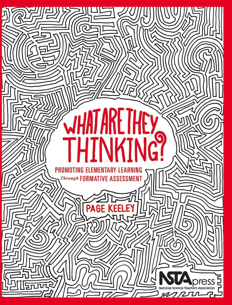 What Are They Thinking?: Promoting Elementary Learning Through Formative Assessment