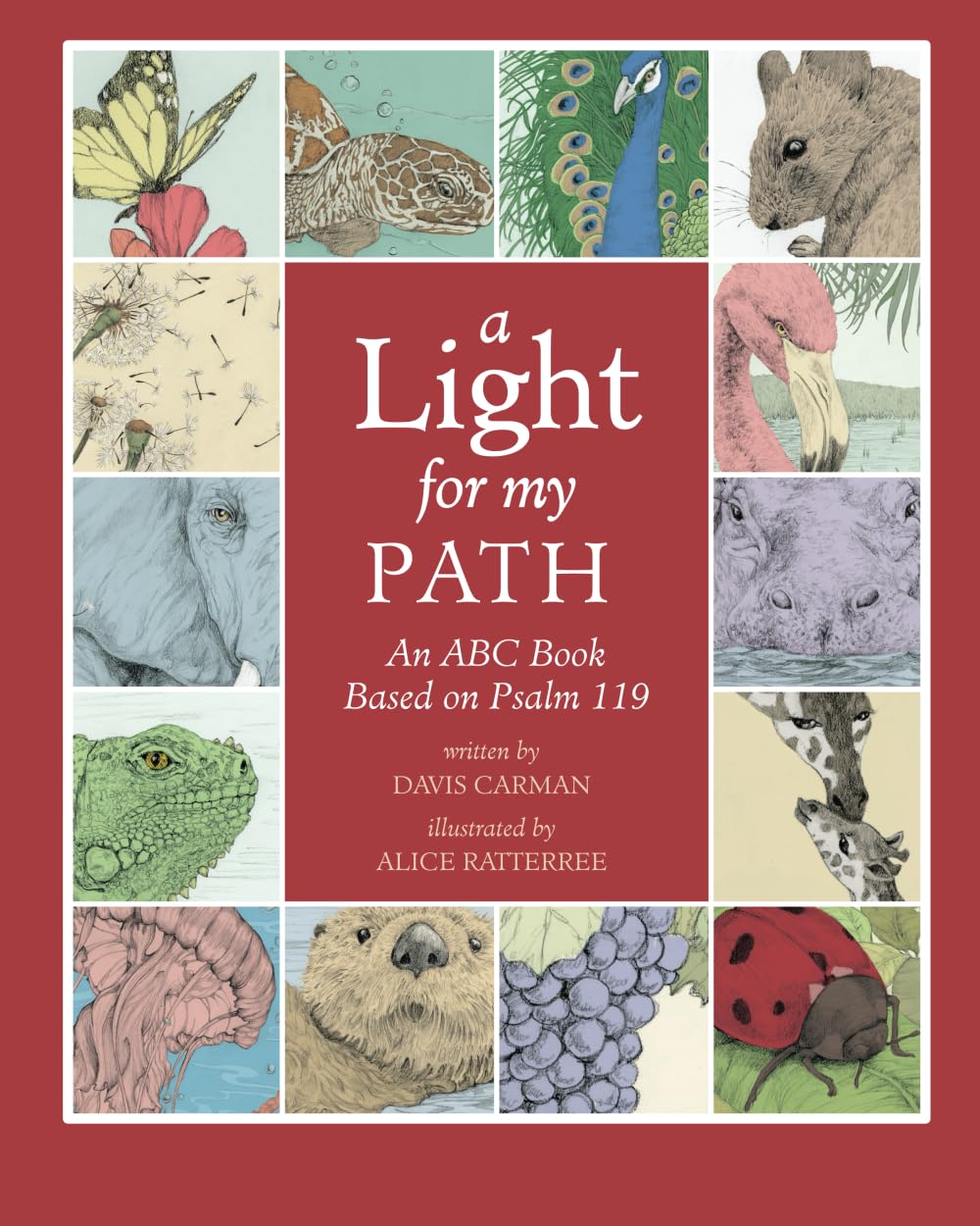 A Light for My Path