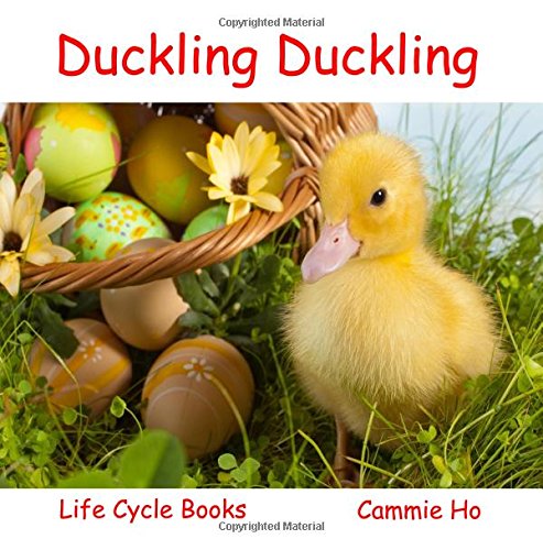 Duckling Duckling (Life Cycle Books)