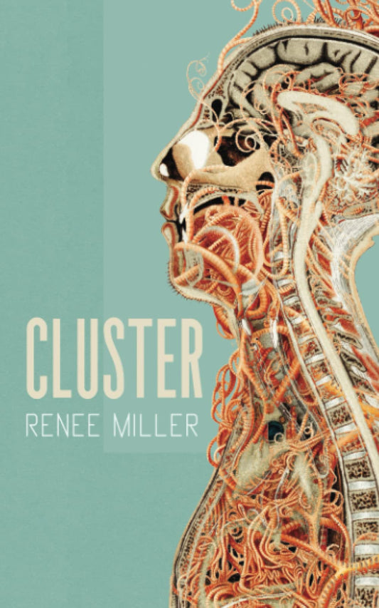 Cluster - 8006
