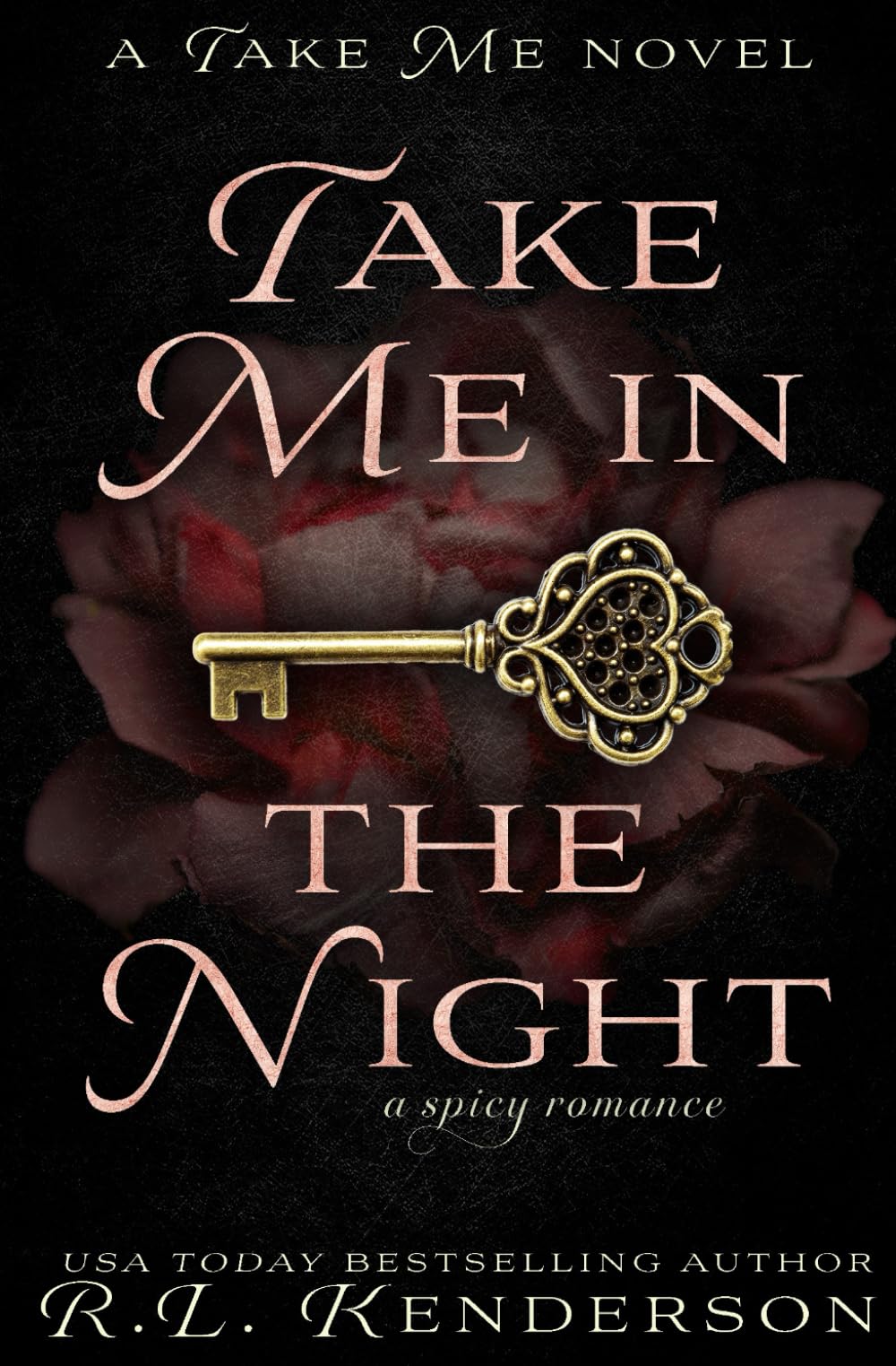 Take Me in the Night