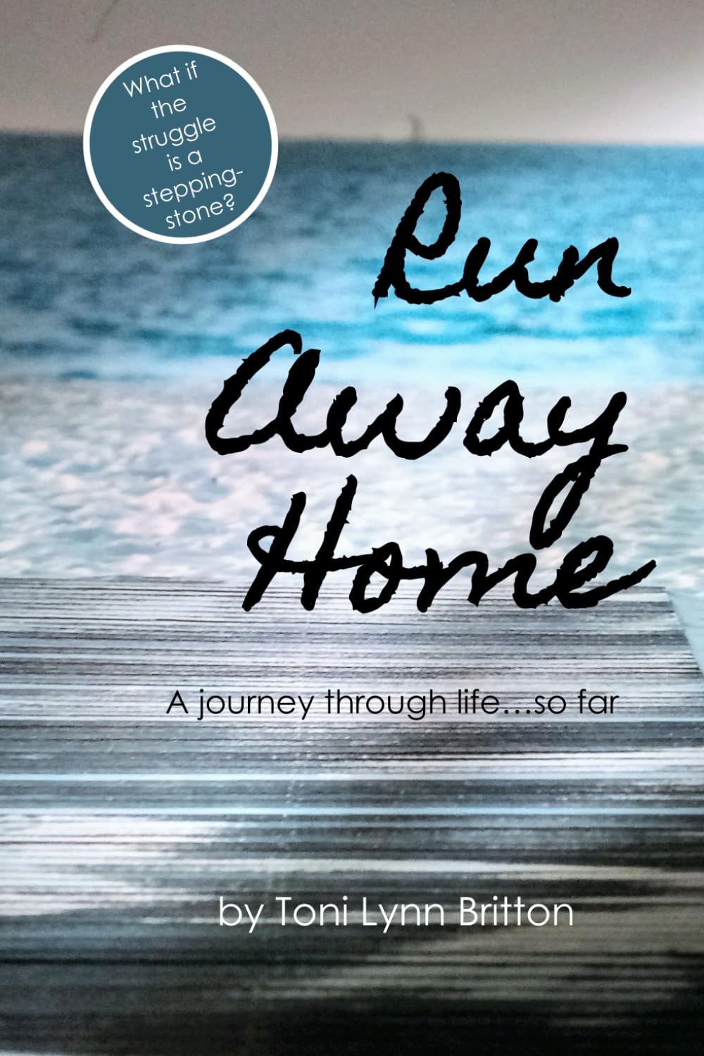 Run Away Home - 3733