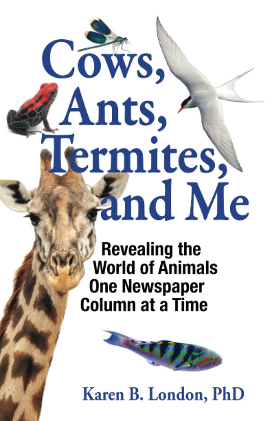 Cows, Ants, Termites, and Me: Revealing the World of Animals One Newspaper Column at a Time - 463