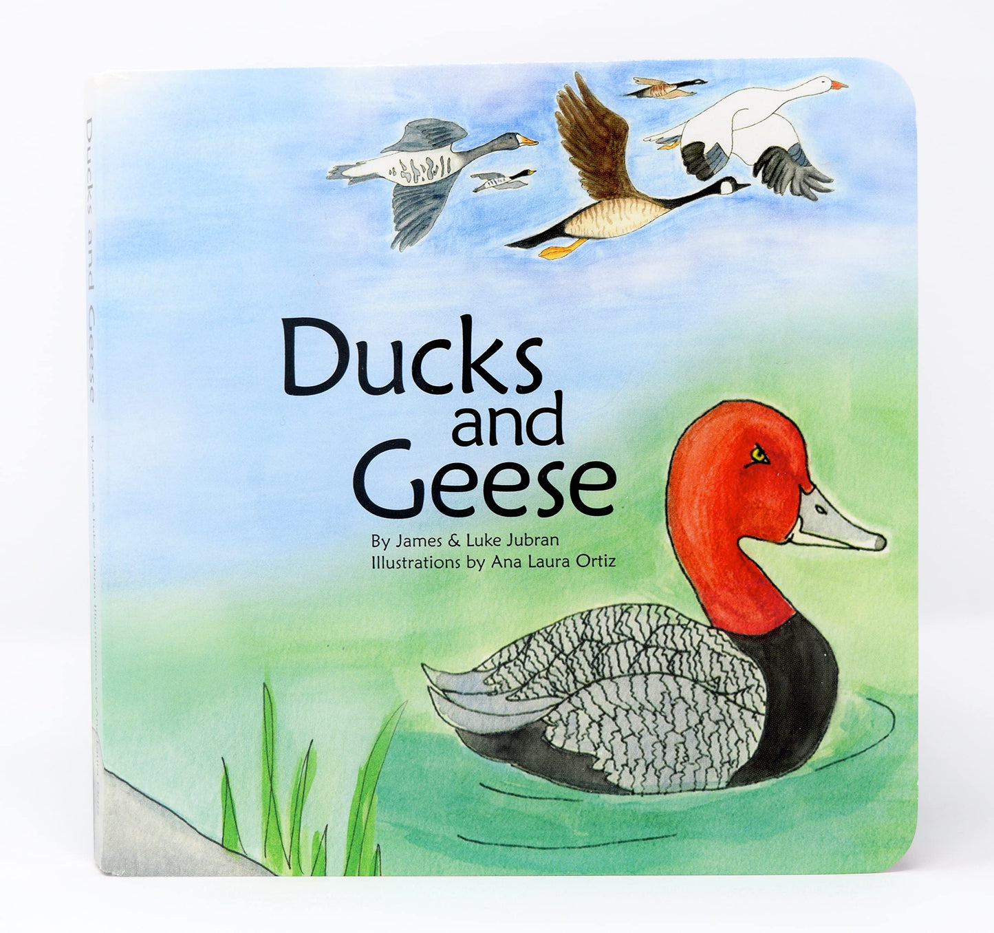 Ducks and Geese: Board Book, Wildlife, Animals, Conservation, Smile Outside, Children's book