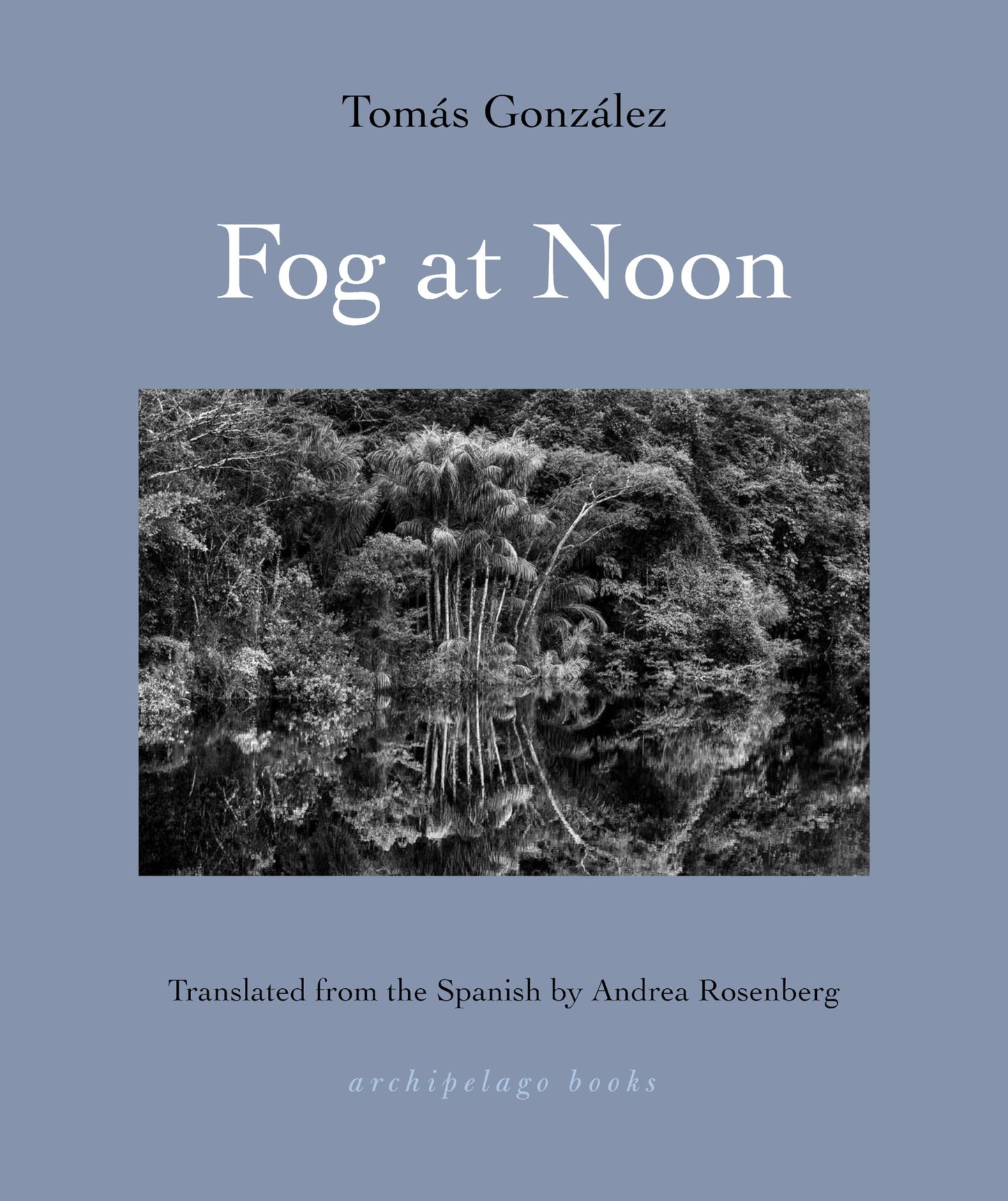 Fog at Noon - 7842