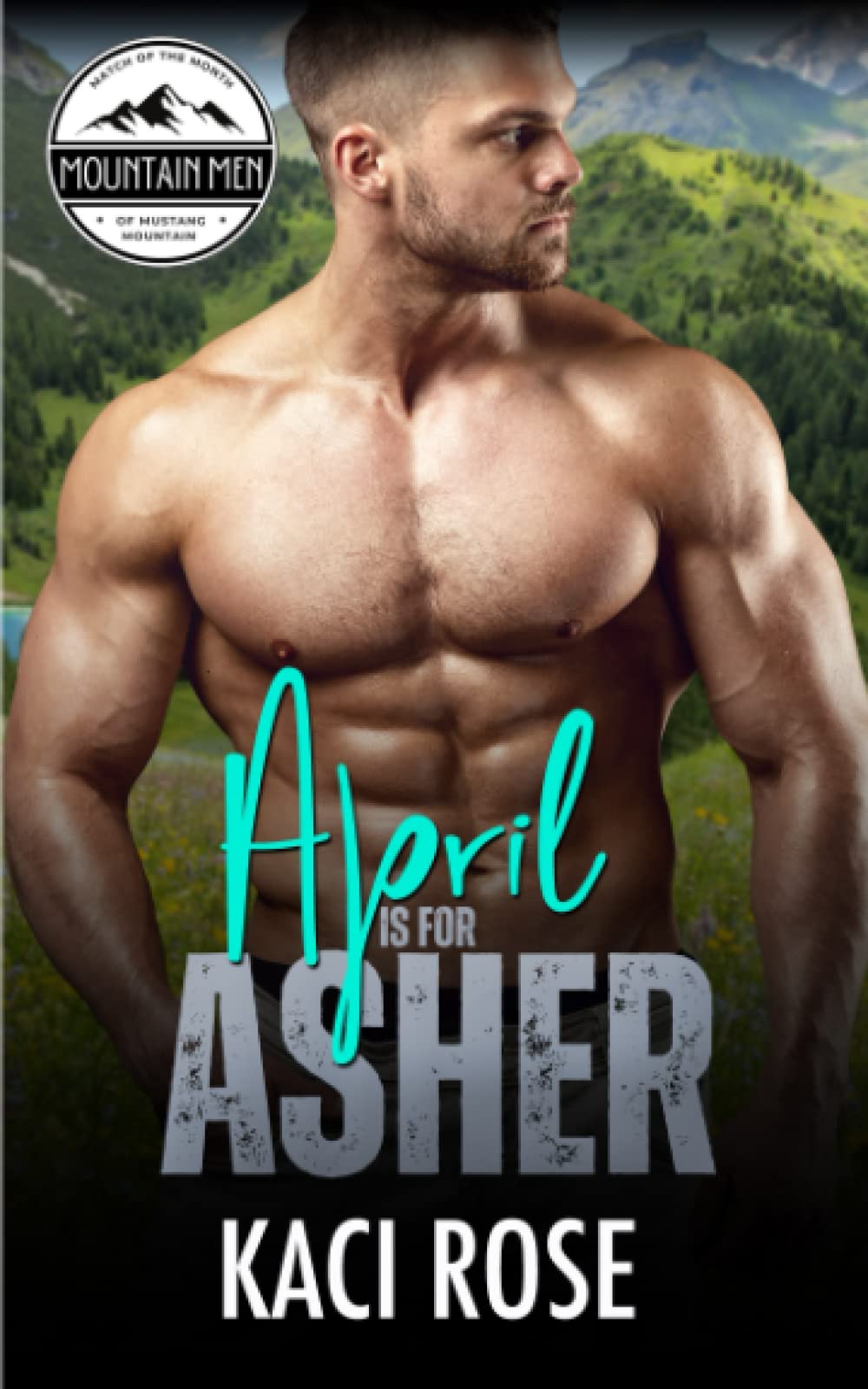 April is for Asher: A Curvy Girl, One Night Stand, Surprise Pregnancy Romance - 8348
