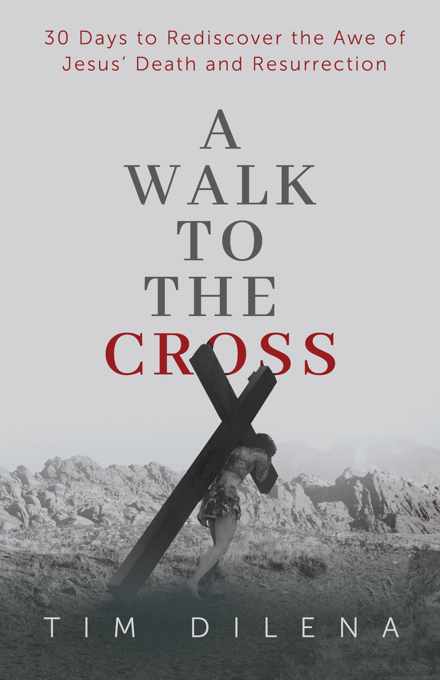 A Walk to the Cross: 30 Days to Rediscover the Awe of Jesus’ Death and Resurrection