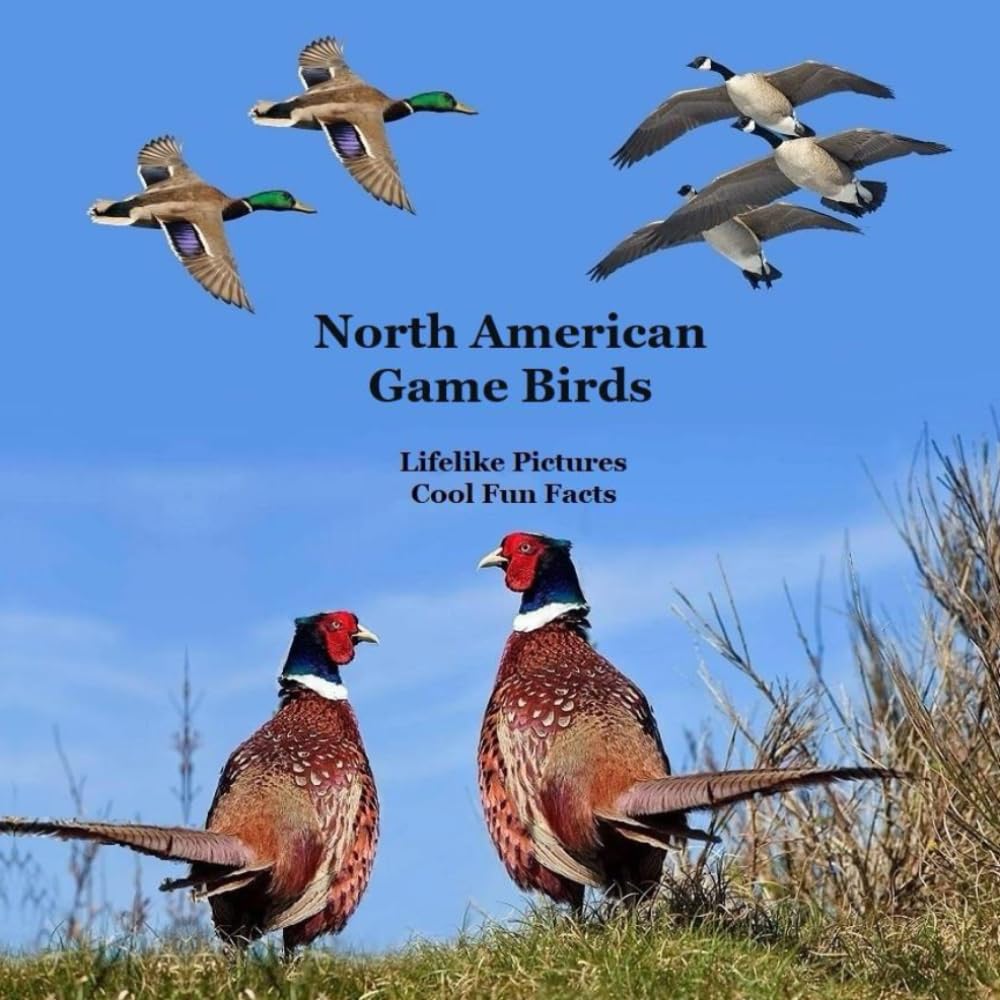 North American Game Birds Kids Book: Great Way to Meet the Game Birds of North America