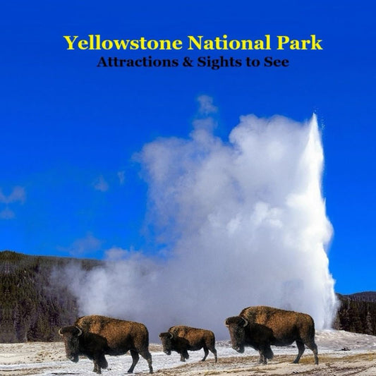 Yellowstone Park Attractions and Sights to See Kids Book: Great Book for kids about Yellowstone National Park - 8237