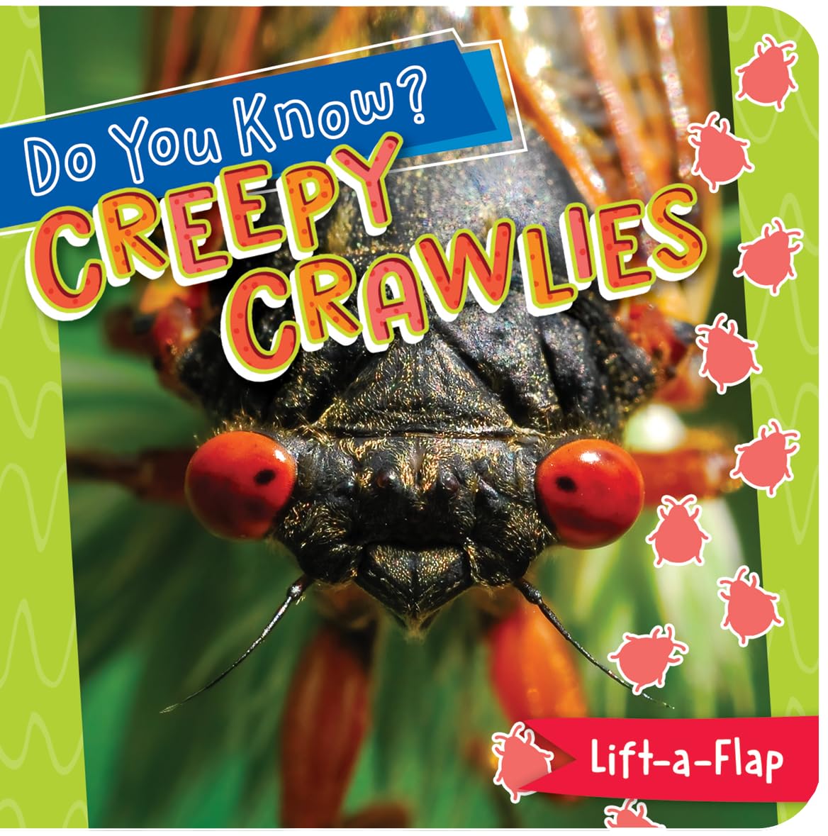 Little Hippo Books Creepy Crawlies I Chunky Lift-the-Flap Board Book I Educational Children's Books | Best Kid's Books and Board Books Ages 3-4 & 4-5