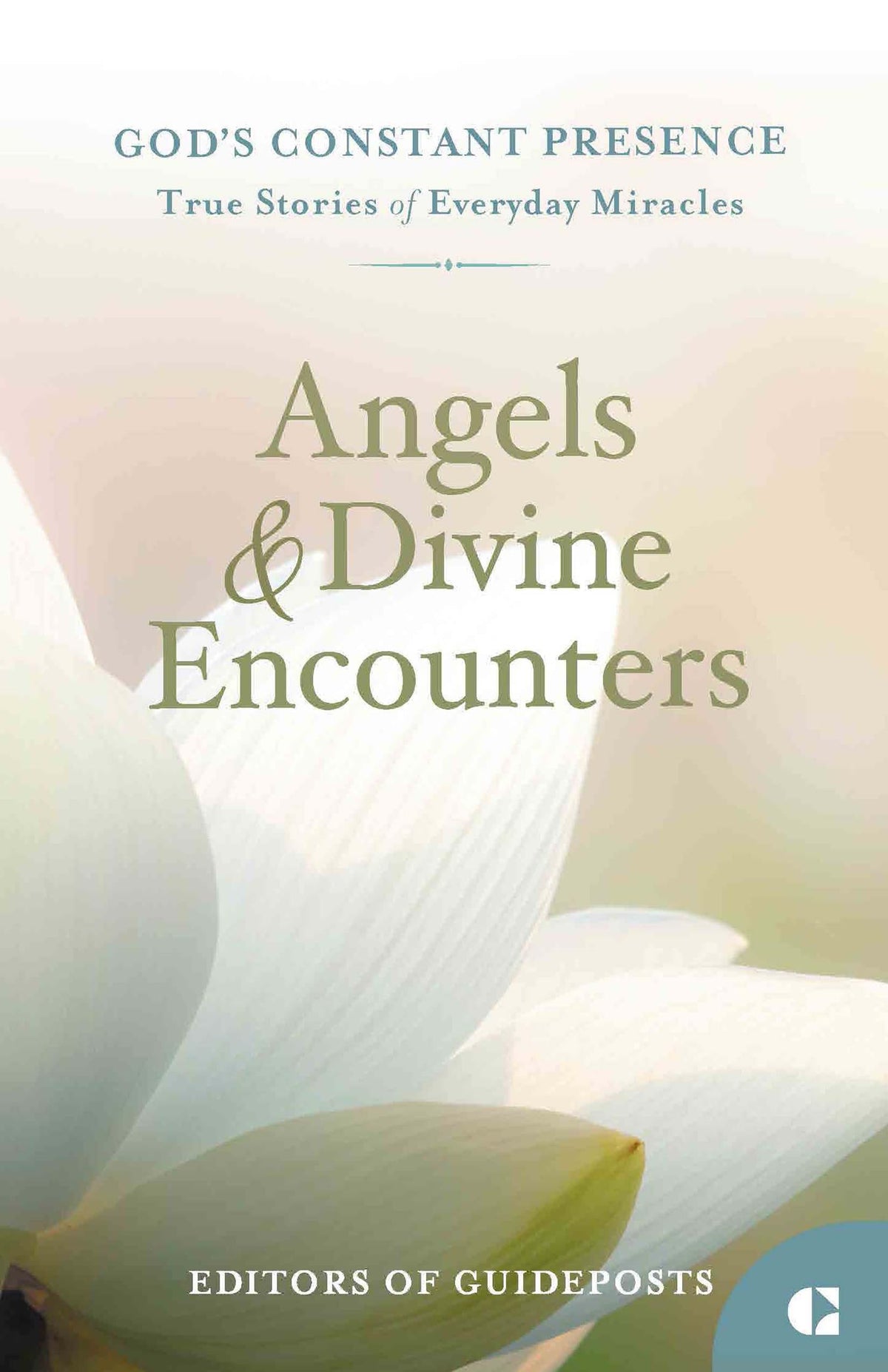 Angels & Divine Encounters: True Stories of Everyday Miracles (God's Constant Presence)