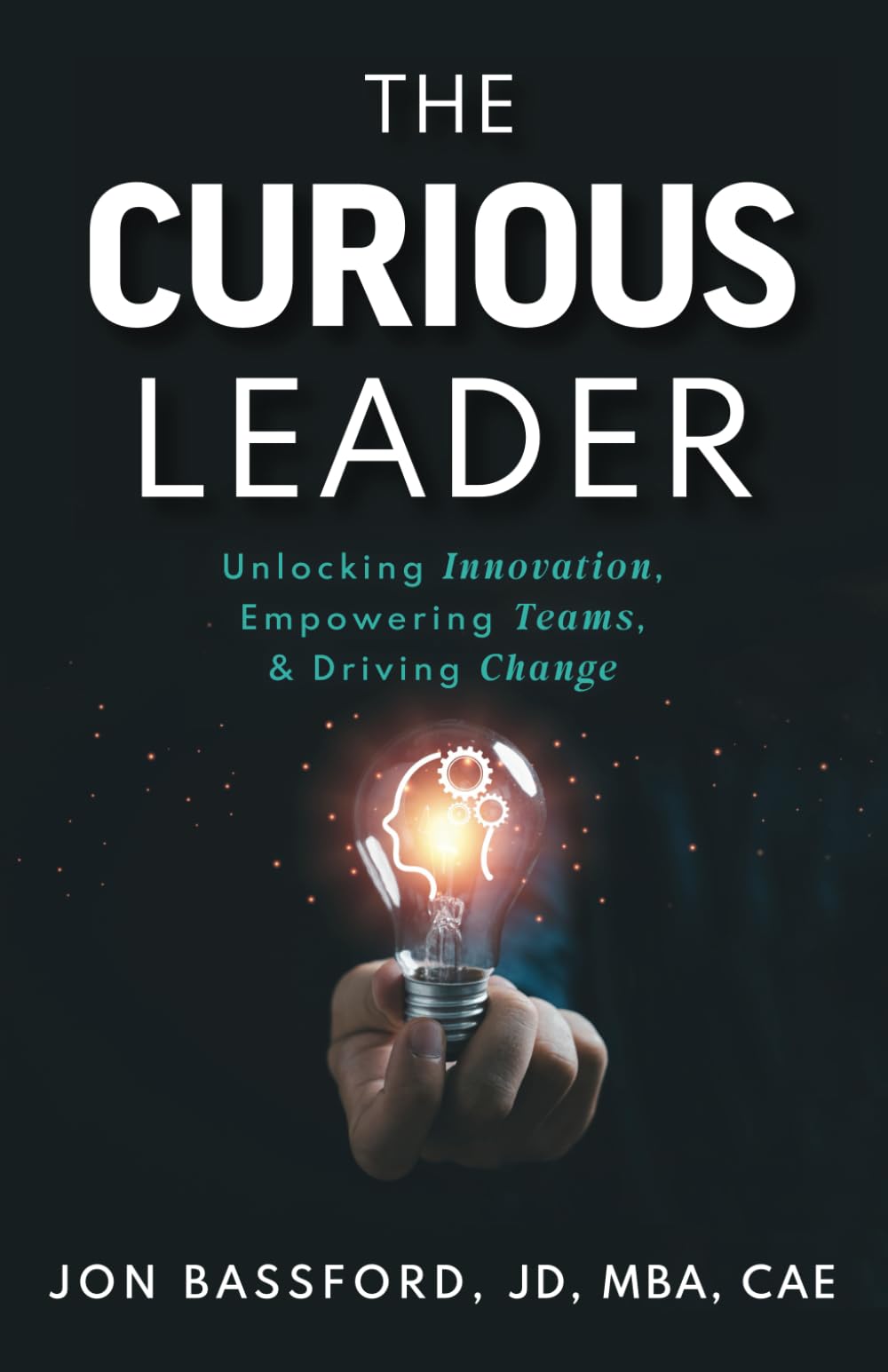 The Curious Leader: Unlocking Innovation, Empowering Teams, and Driving Change - 3932