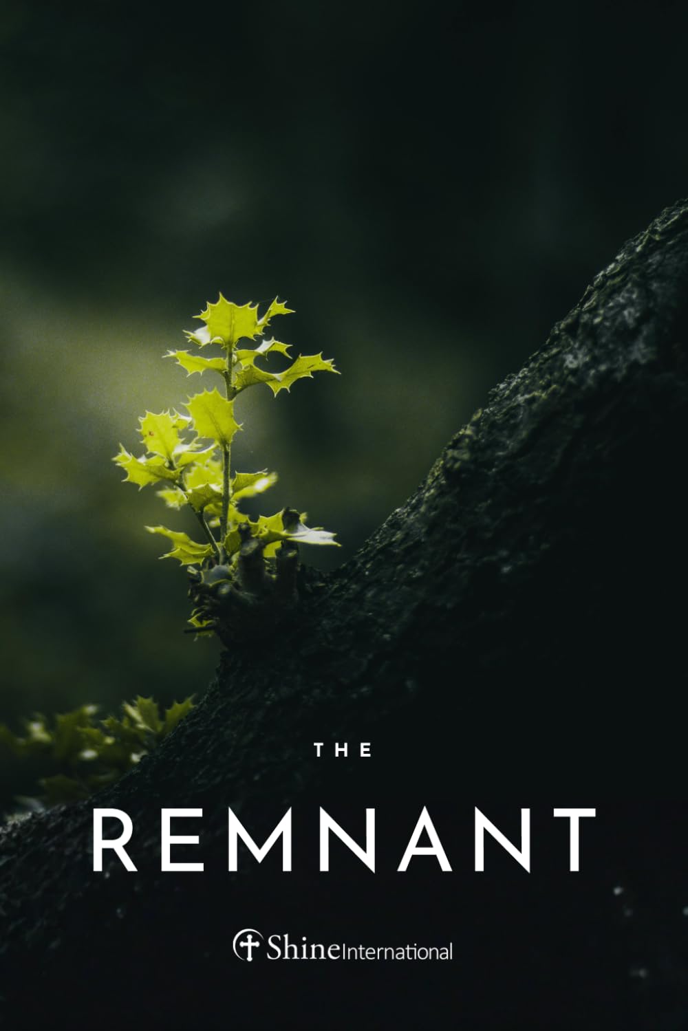 The Remnant