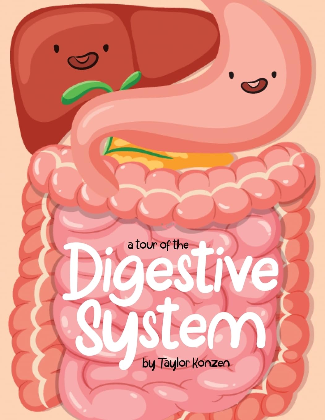 A Tour Of The Digestive System - 8380