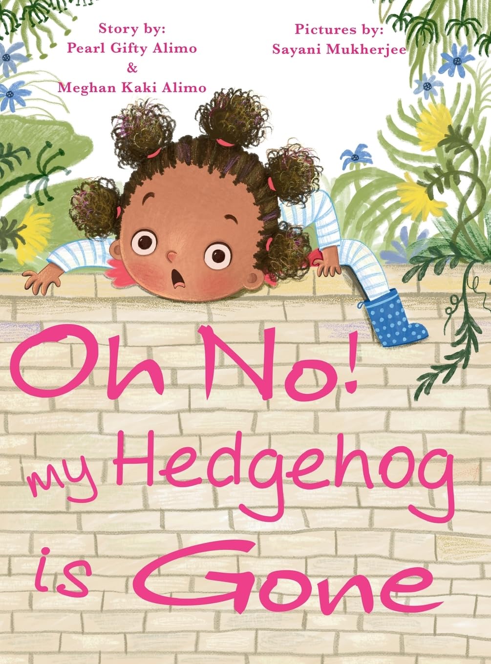 Oh No! My Hedgehog is Gone
