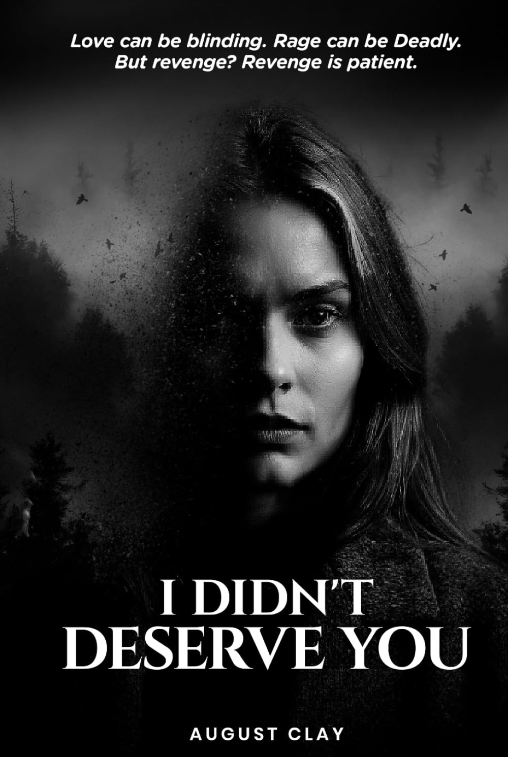 I Didn’t Deserve You: Love can be blinding. Rage can be deadly. But revenge? Revenge is patient.