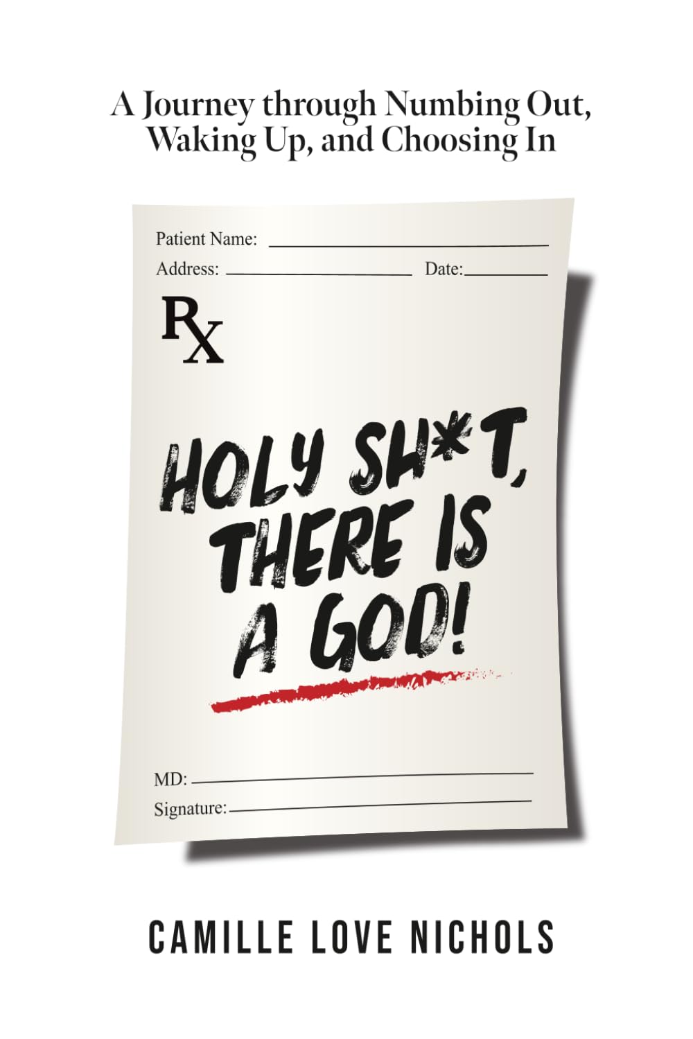 Holy Shit, There Is a God!: A Journey Through Numbing Out, Waking up, and Choosing In