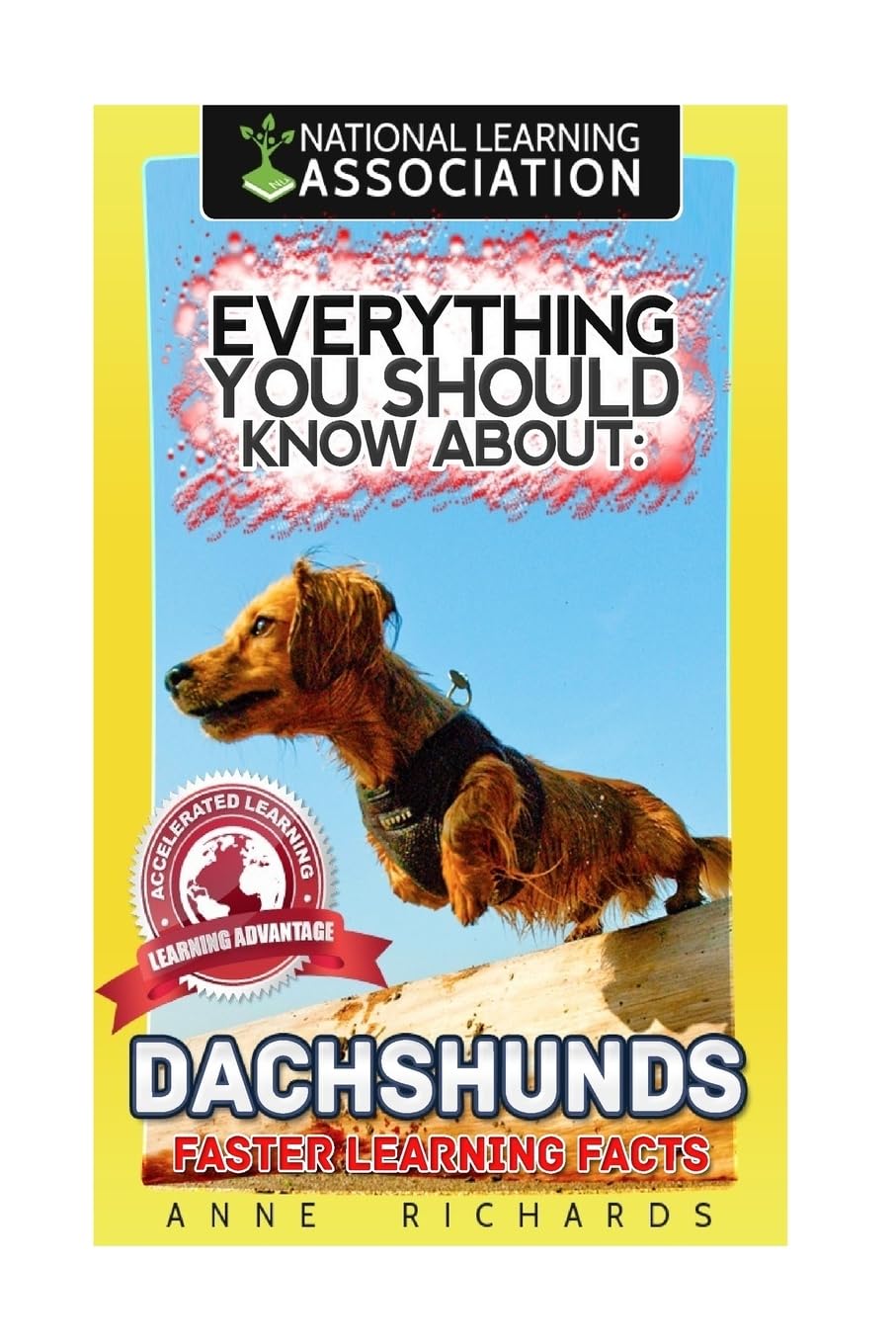 Everything You Should Know About: Dachshunds Faster Learning Facts