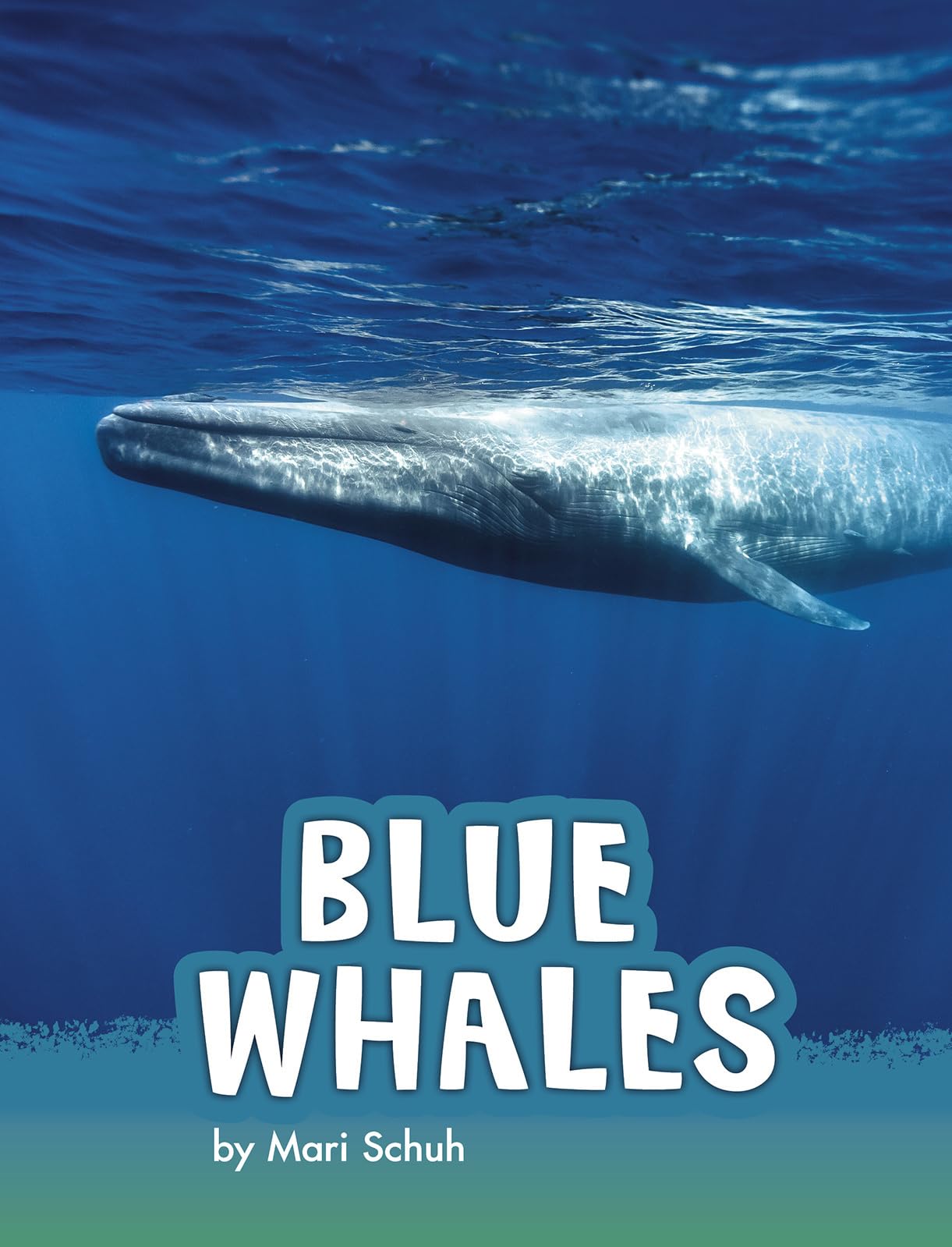 Blue Whales (Pebble Explore; Animals)
