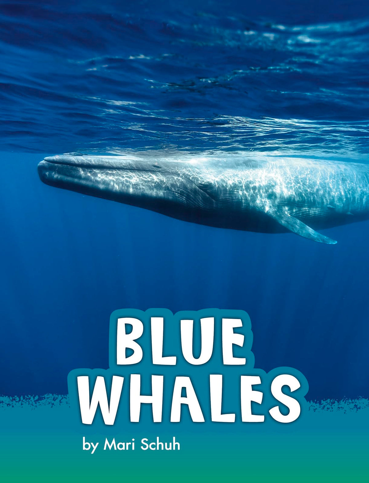 Blue Whales (Pebble Explore; Animals)