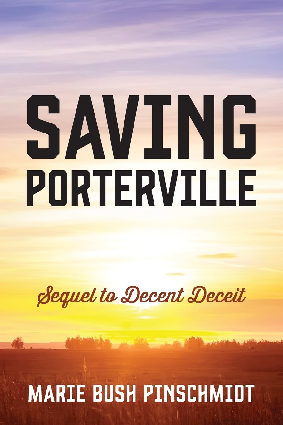 Saving Porterville: Sequel to Decent Deceit