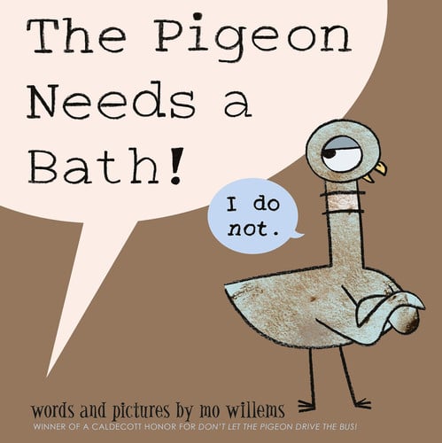 The pigeon needs a bath