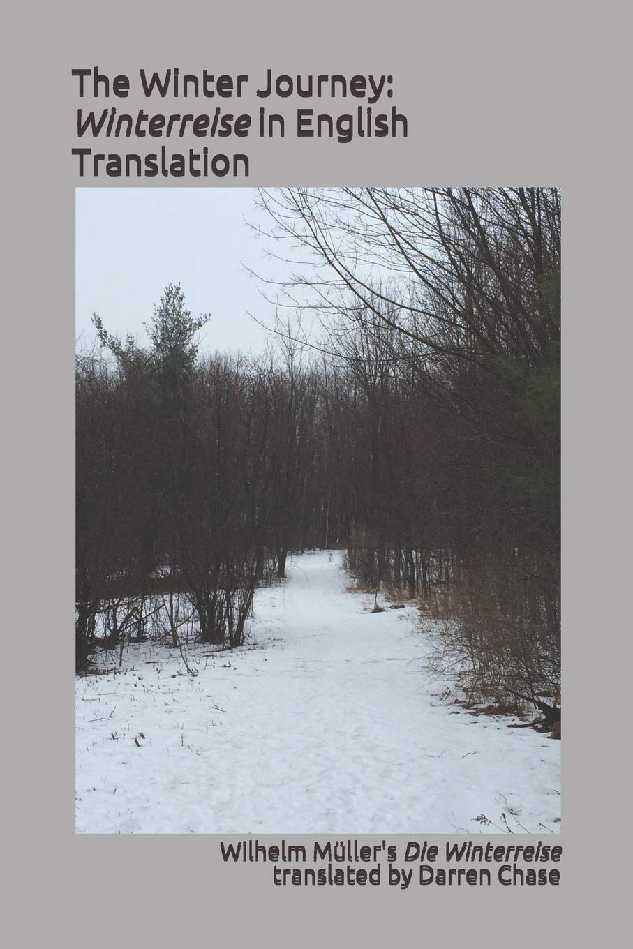The Winter Journey: Winterreise in English Translation: A translation of Wilhelm Müller's Die Winterreise for English language performances of Franz Schubert's song cycle