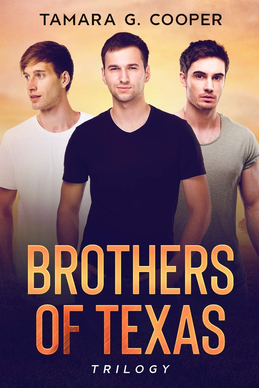 Brothers of Texas Trilogy - 1471
