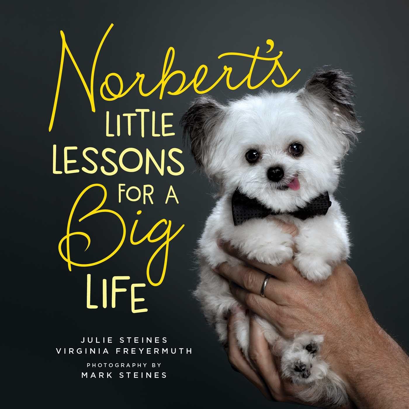 Norbert's Little Lessons for a Big Life - 4154