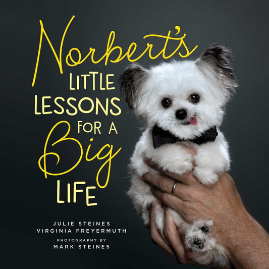 Norbert's Little Lessons for a Big Life - 1639