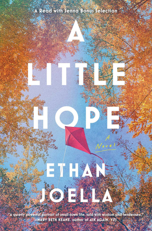 A Little Hope: A Novel - 6728