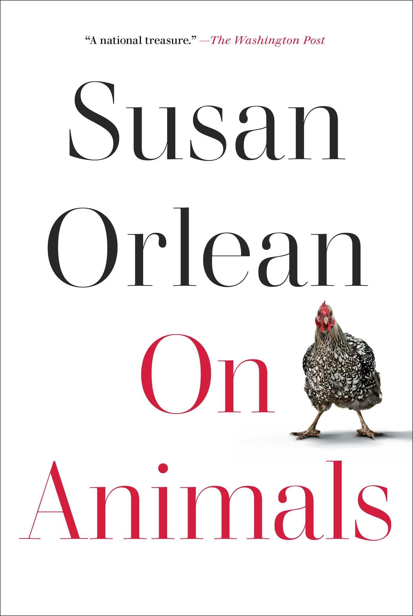 On Animals - 7208