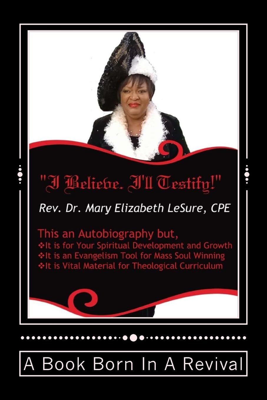 I Believe. I'll Testify!: Testimonies of God's Perservation, Preparation and Purpose - 8229