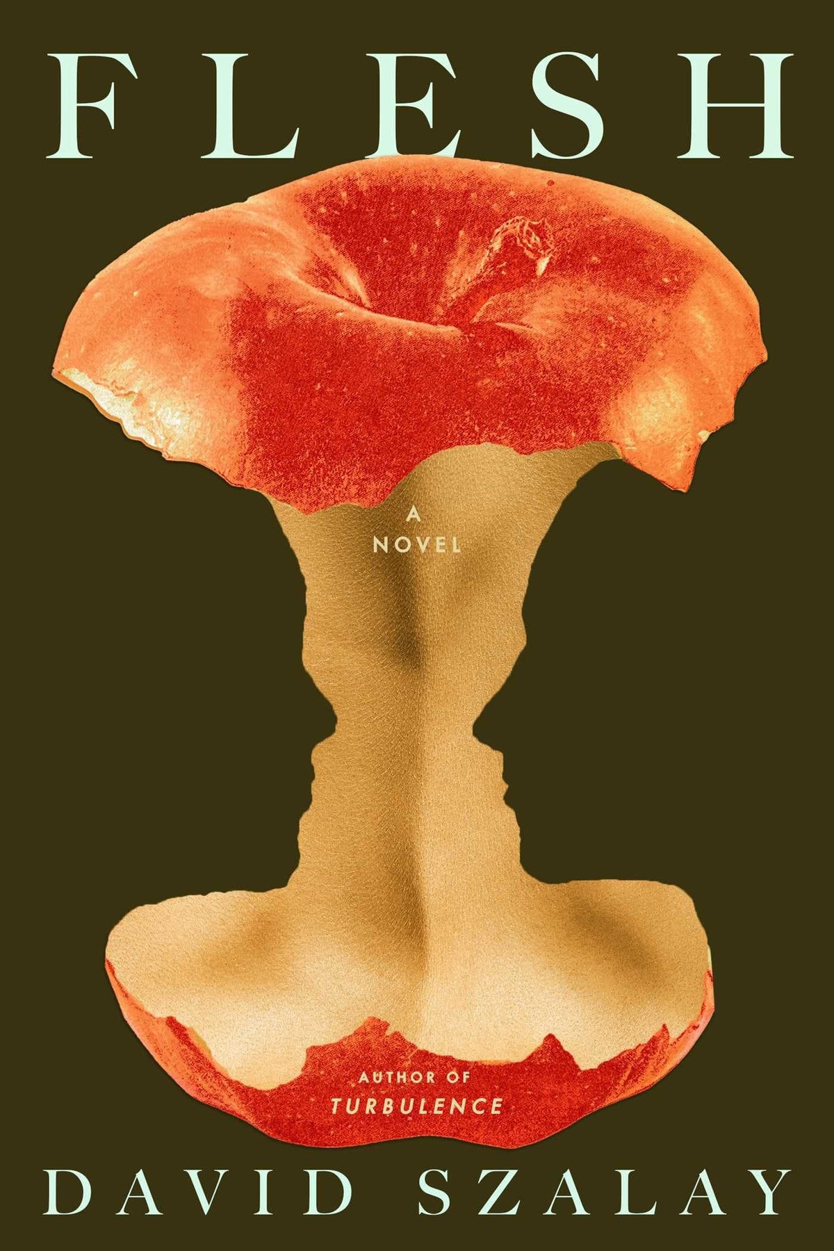 Flesh A Novel