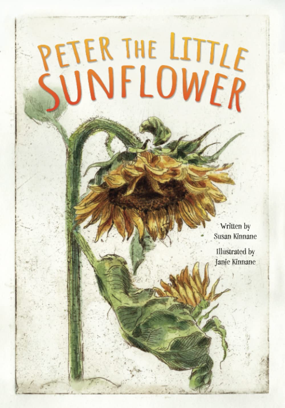 Peter the Little Sunflower - 3580